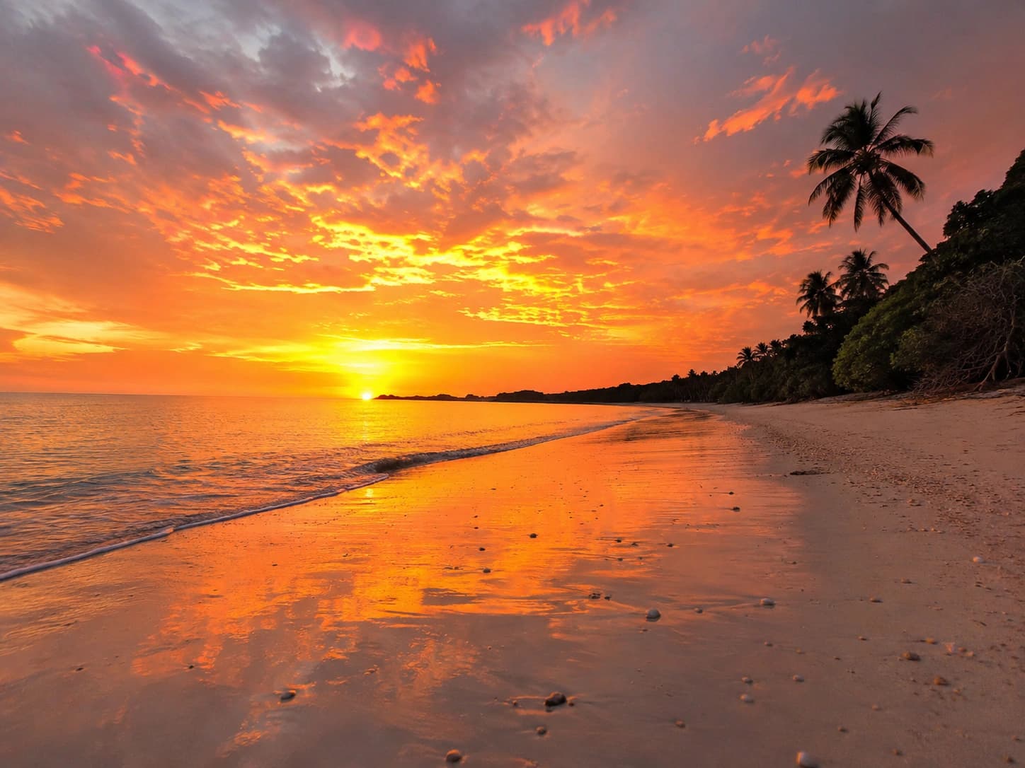 ANDAMAN CRUISE & COAST - 06 NIGHTS / 07 DAYS gallery 4